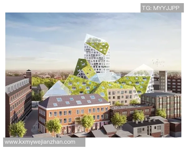 足球选手权的保护与发展探讨：促进公平竞争与职业生涯的可持续性