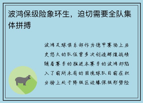 波鸿保级险象环生，迫切需要全队集体拼搏